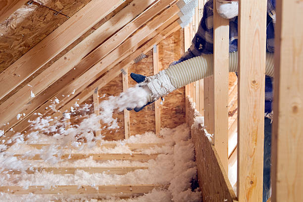 Best Spray Foam Insulation  in Clendon, AR